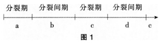 2016年下半年教师资格证考试试题及答案四——生物学科知识与教学能力(初级中学)